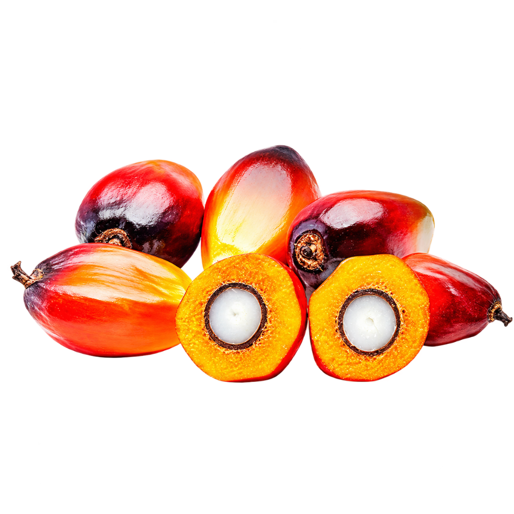 Frutos de Dendê Selecionados Kidendê